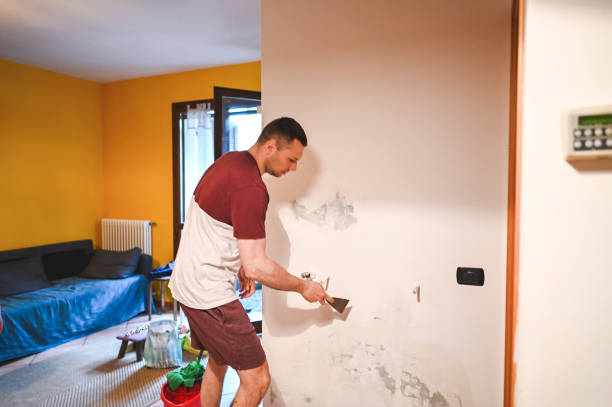 Best Certified Mold Removal  in Independence, MO